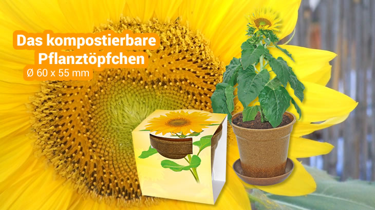 Pflanzset NaturePOT mit kompostierbarem Topf