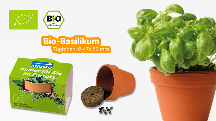 BIO Pflanzset MINI mit Basilikum-Samen