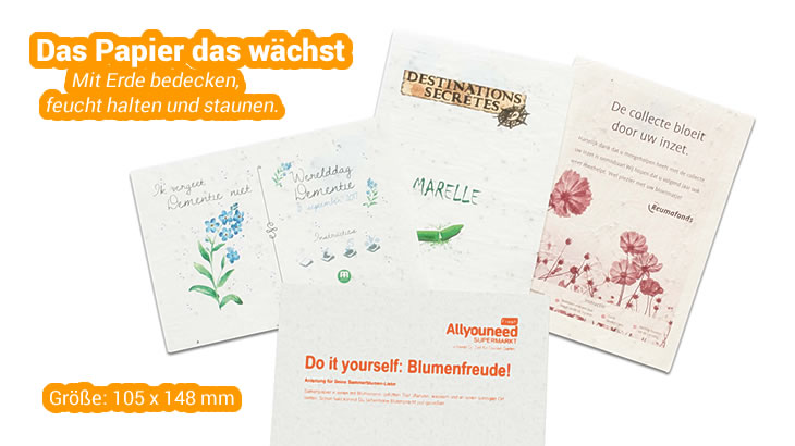 Flyer DIN A6 aus Samenpapier