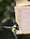 Vogelhaus aus Karton mit Bio-Futter